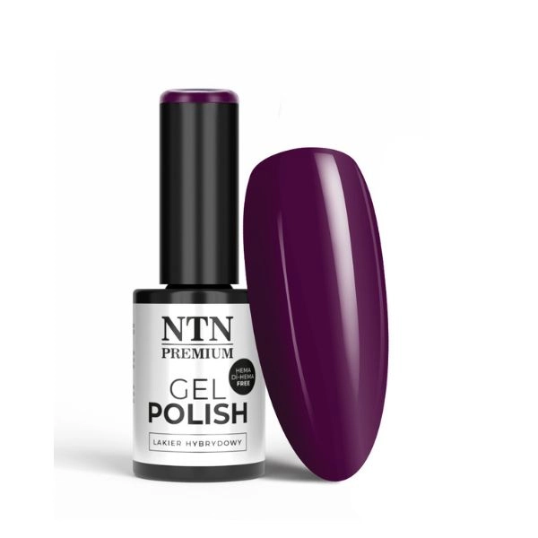 NTN Premium - Lac de unghii hibrid cu gel Romantica Collection Nr. 104, 5g